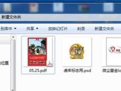 Win8.1系统下PDF在文件夹中没有显 Win8.1系统下PDF在文件夹中没有显